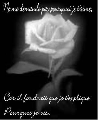 Je cherche la femme de ma vie poeme