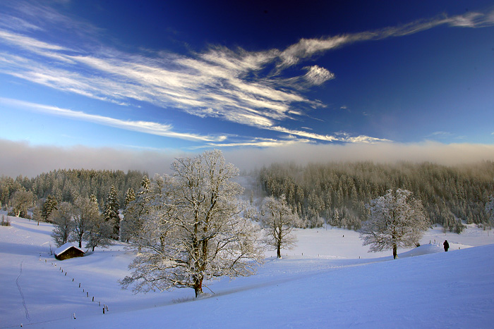 28 Janvier 2011 26dd9ac5